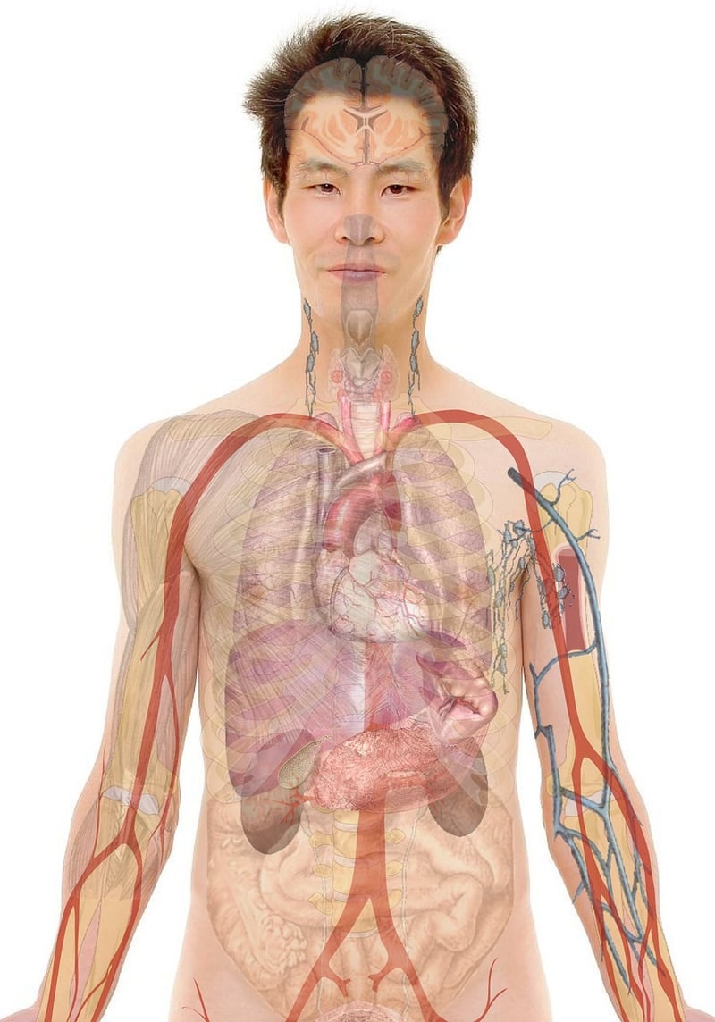 Mind-Body Integration